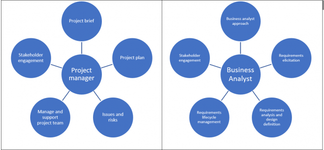 Business Analyst And Project Manager Collaboration Business Bullet 1295